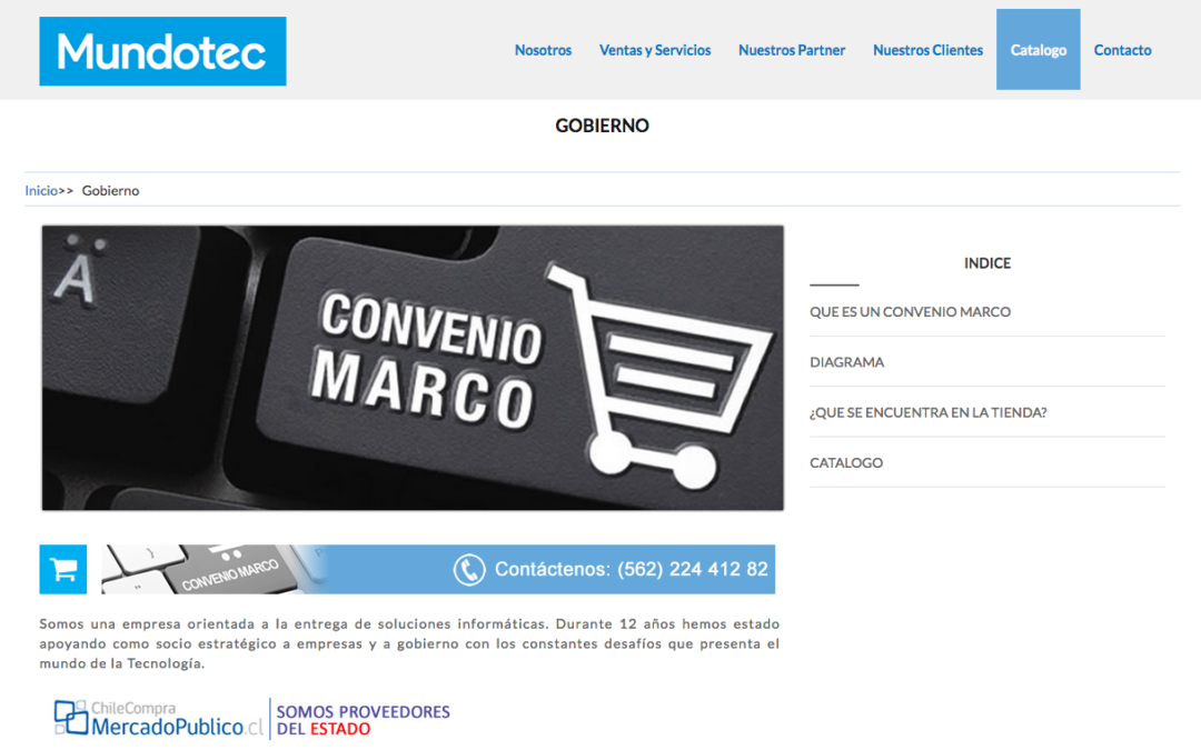Mundotec, Licencia Windows Profesional