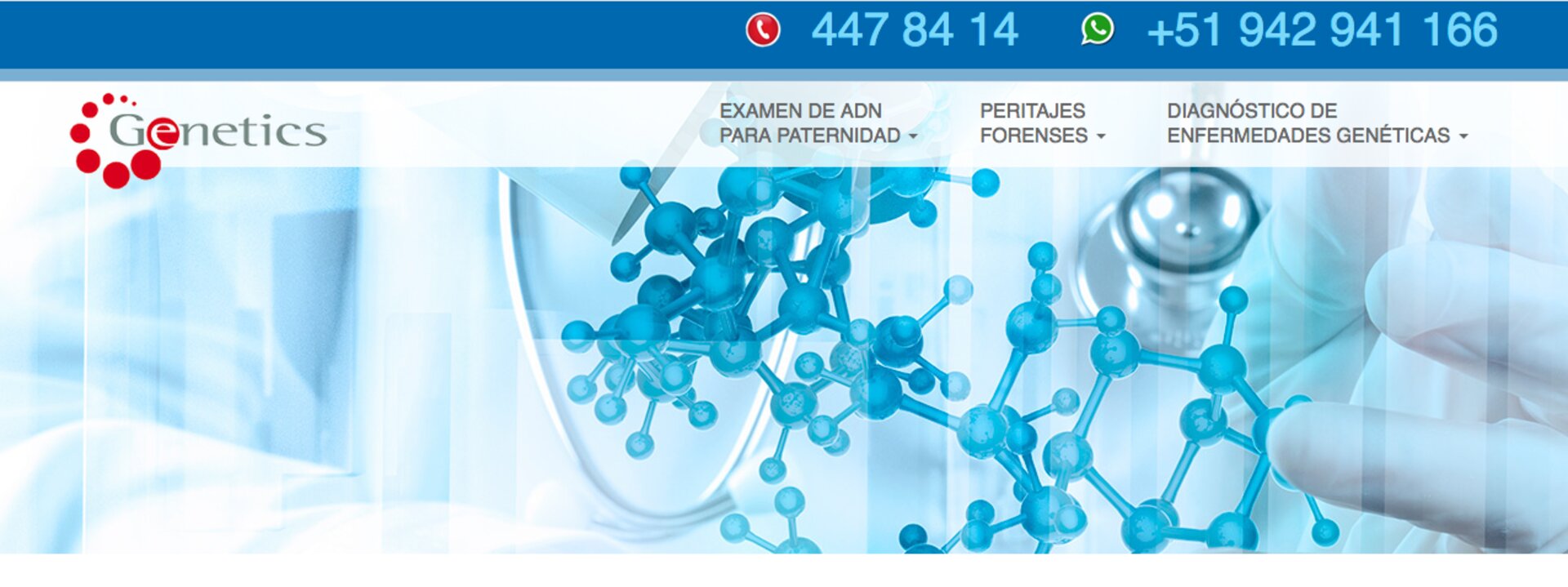 Test de AND en perú